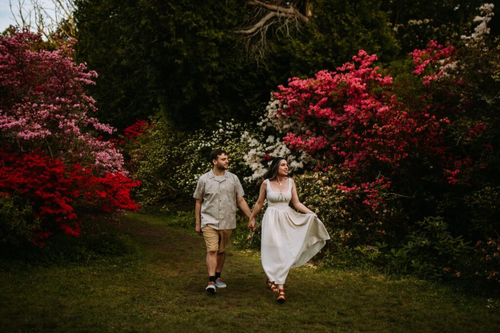 Couple walking toward the camera, framed by bright red and pink azalea blooms.