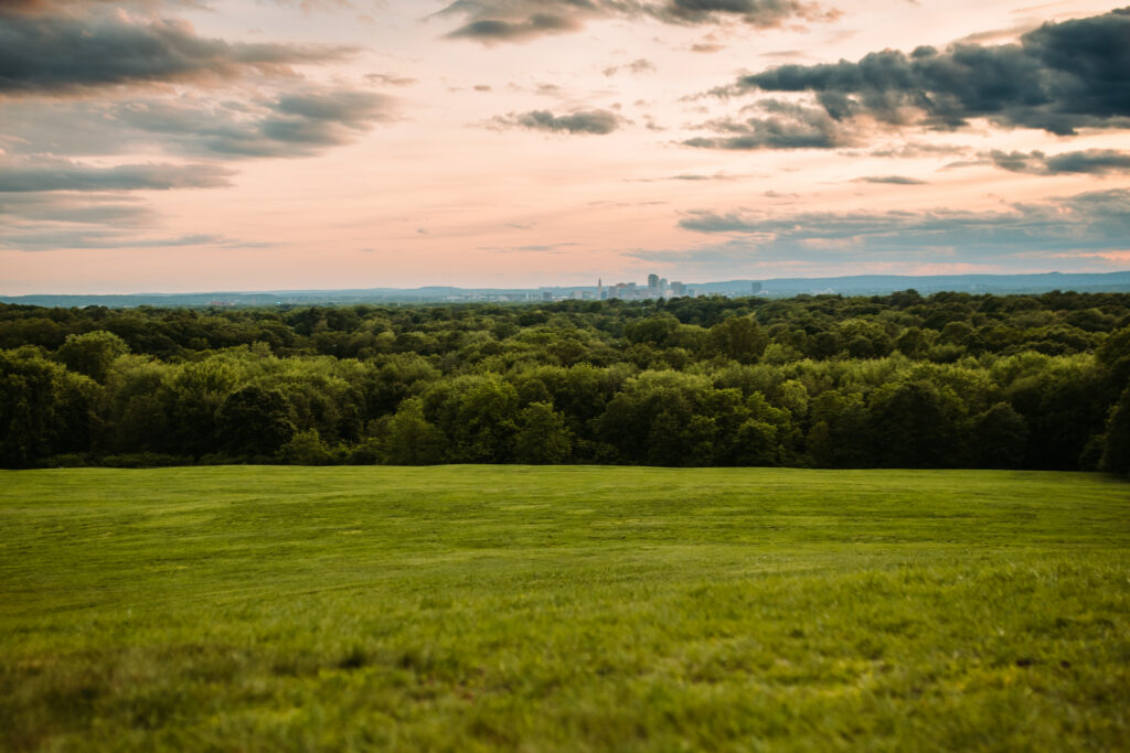 View of the Hartford Skyline from Wickham Park in Manchester, Connecticut