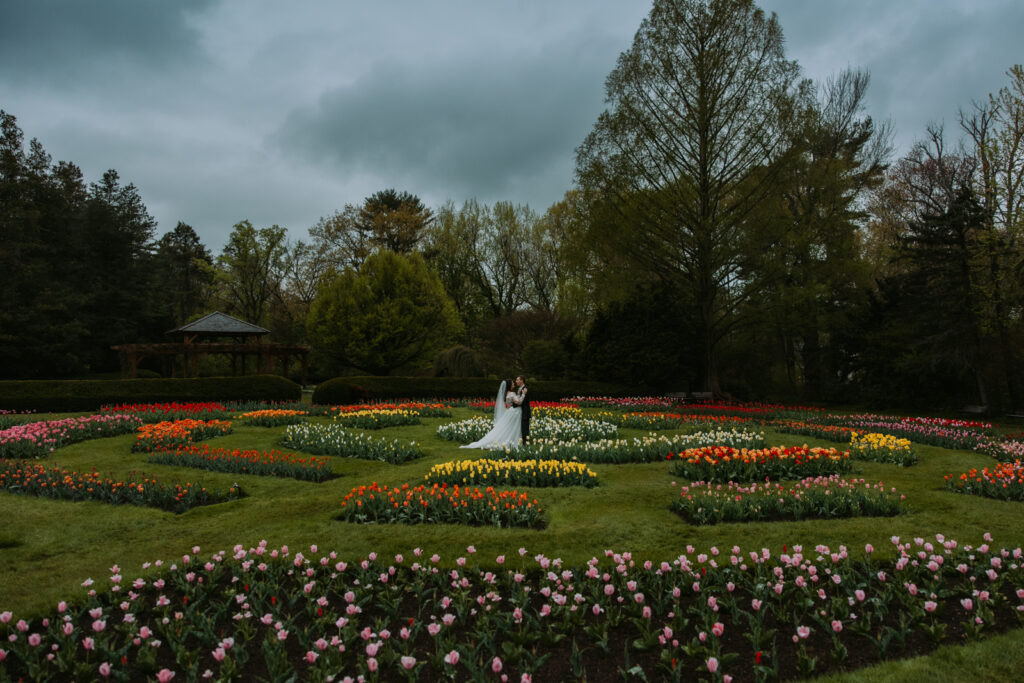Couple stands in Tulip field on their wedding day at Elizabeth Park in West Hartford, Connecticut