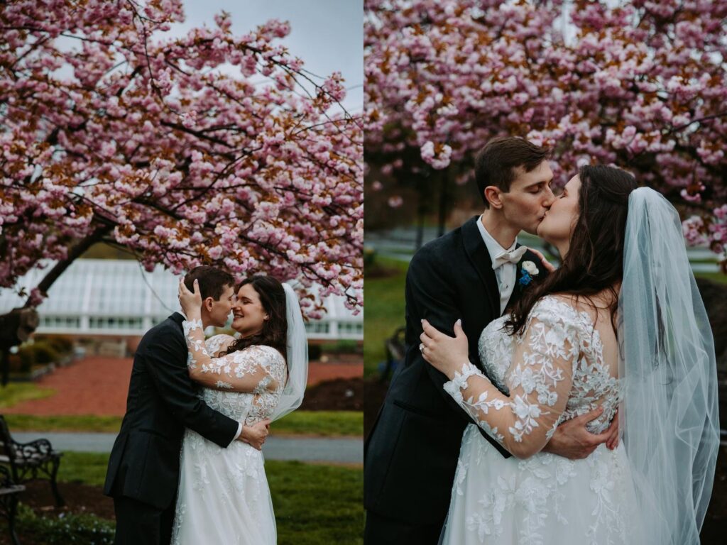 Couple kissing under pink cherry blossom tree during spring wedding portraits at Elizabeth Park