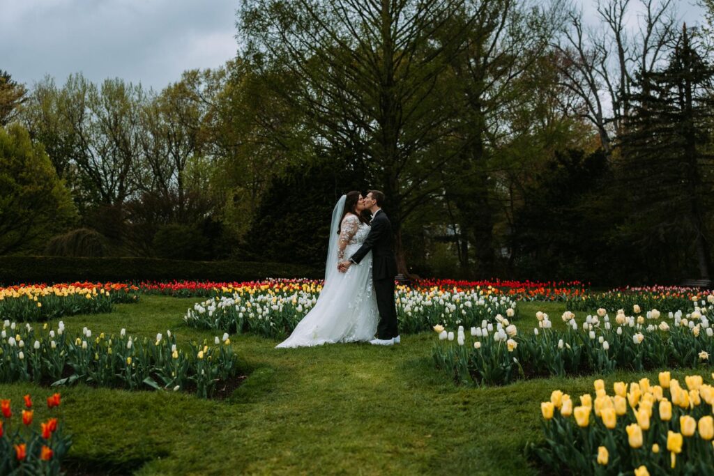 Wide shot of bride and groom in Elizabeth Park tulip garden with rows of colorful blooms
